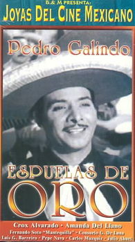 ESPUELAS DE OROespuelas 