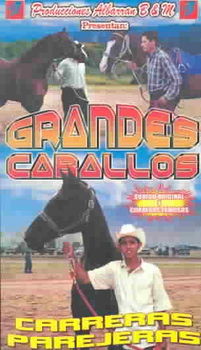 GRANDES CABALLOSgrandes 