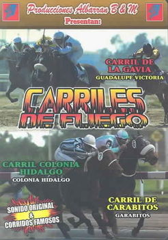 CARRILES DE FUEGOcarriles 