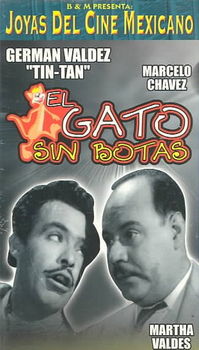 GATO SIN BOTASgato 