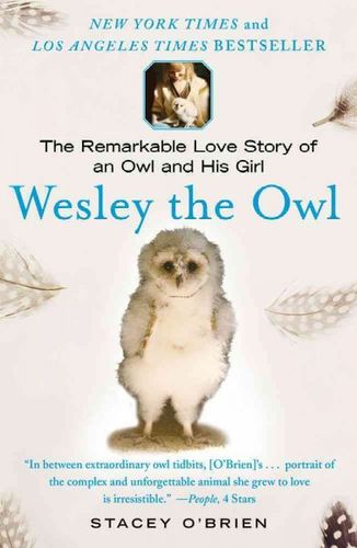 Wesley the Owlwesley 