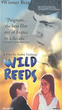 WILD REEDSwild 