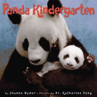 Panda Kindergartenpanda 