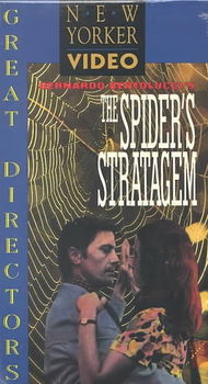 SPIDER'S STRATAGEMspider 
