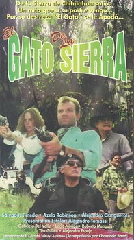 EL GATO DE LA SIERRAgato 