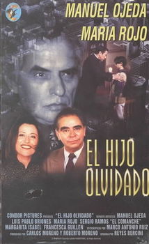 EL HIJO OLVIDADOhijo 