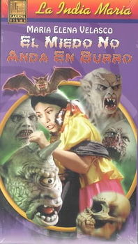 EL MIEDO NO ANDA EN BURROmiedo 