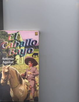 EL CABALLO BAYOcaballo 