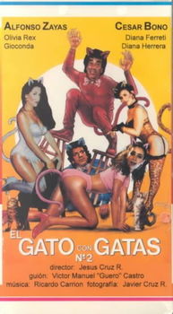 EL GATO CON GATAS 2gato 
