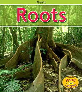 Rootsroots 