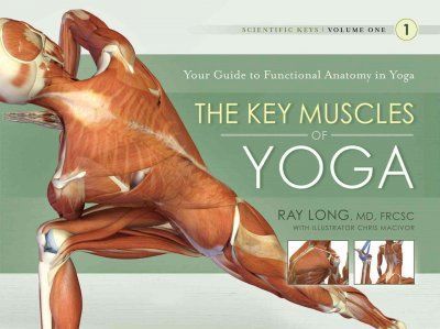 The Key Muscles of Yogakey 