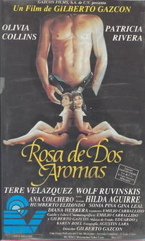 ROSA DE DOS AROMASrosa 