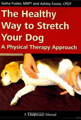 The Healthy Way to Stretch Your Doghealthy 