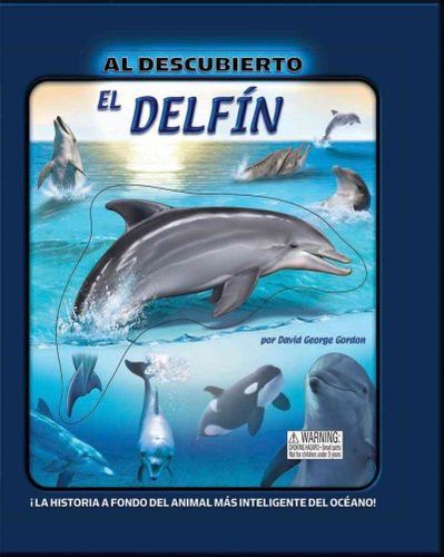 El Delfin/ The Dolphindelfin 