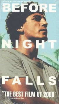 BEFORE NIGHT FALLSnight 