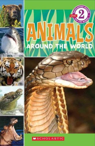 Animals Around the Worldanimals 