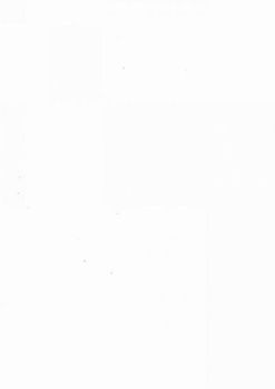 Media/Cultural Studiesmedia 