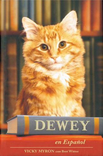 Deweydewey 