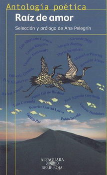 Raiz de amor/ Root of Loveraiz 