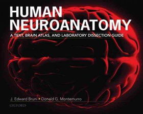 Human Neuroanatomyhuman 