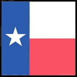 Bandanna, 100% Cotton, Texas Flag, 22 in. x 22 in.bandanna 