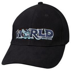 *** DISCONTINUED *** World Industries Flex Fit Waterworld Cadiscontinued 