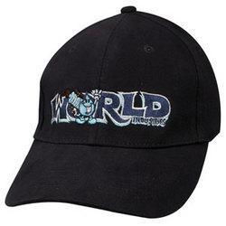 *** DISCONTINUED *** World Industries Flex Fit Waterworld S/discontinued 