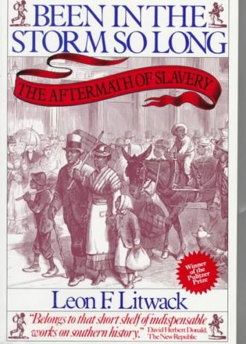 Been in the Storm So Longbeen 