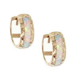 Created Opal 14K Solid Gold Huggie Earringsopal 