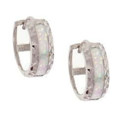 Created Opal 14K White Gold Huggie Earringsopal 