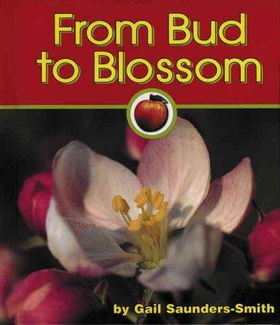 From Blossom to Fruitblossom 