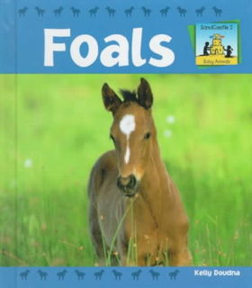 Foalsfoals 