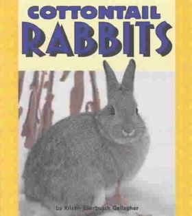 Cottontail Rabbitscottontail 