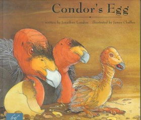 Condor's Eggcondor 
