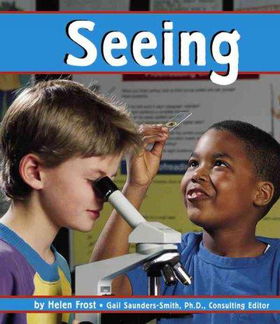 Seeingseeing 