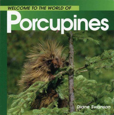 Welcome to the World of Porcupineswelcome 