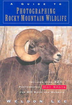 A Guide to Photographing Rocky Mountain Wildlifeguide 