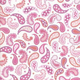 Scrapbooking Paper - Hot Pink Paisley Case Pack 25