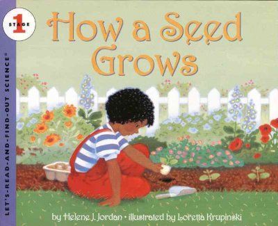 How a Seed Growsseed 