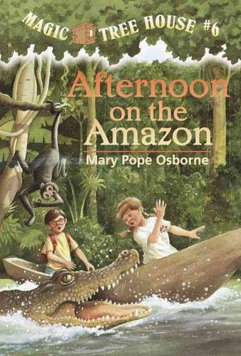 Afternoon on the Amazonafternoon 