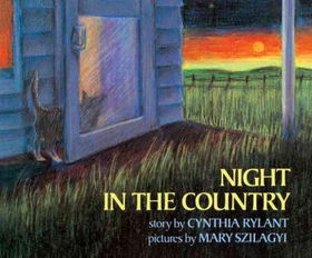 Night in the Countrynight 