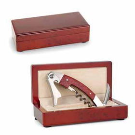 Elan Case Pack 16elan 