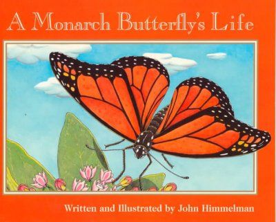 A Monarch Butterfly's Lifemonarch 