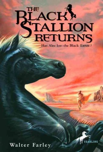 The Black Stallion Returnsblack 