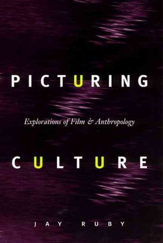 Picturing Culturepicturing 