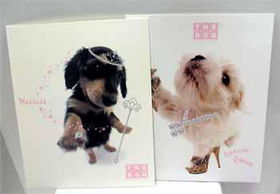 Princess Dog Portfolios In Display Case Pack 48