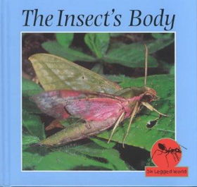The Insect's Bodyinsect 