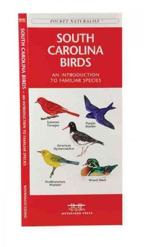 South Carolina Birdssouth 