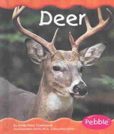 Deerdeer 