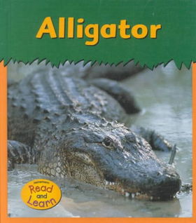 Alligatoralligator 